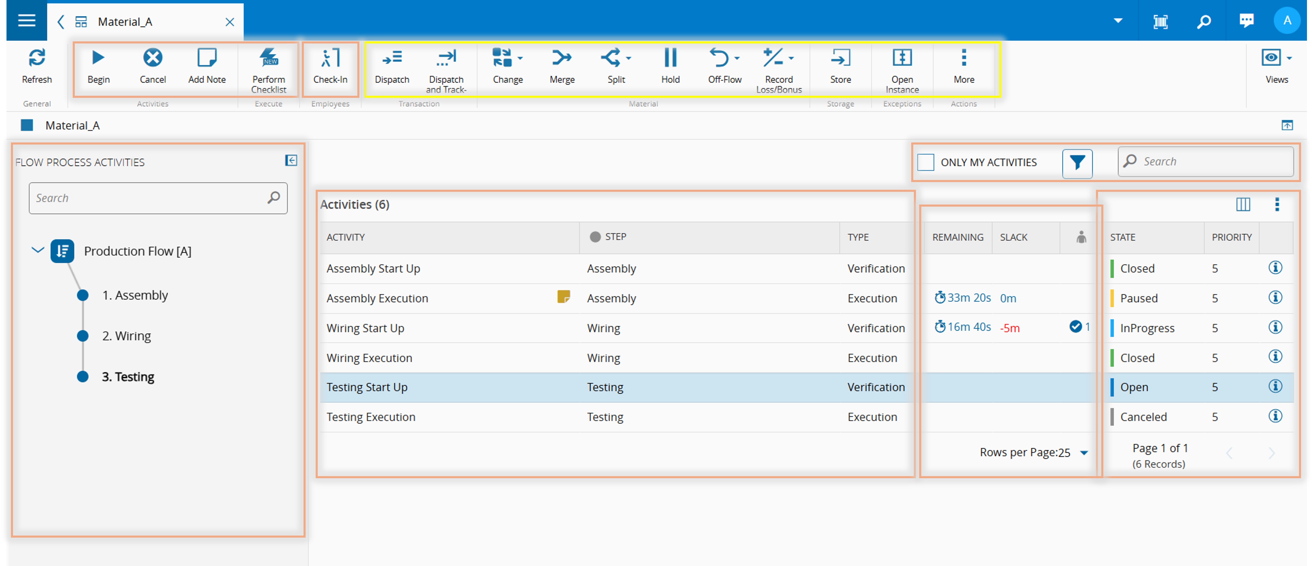 Process Activities Execution View