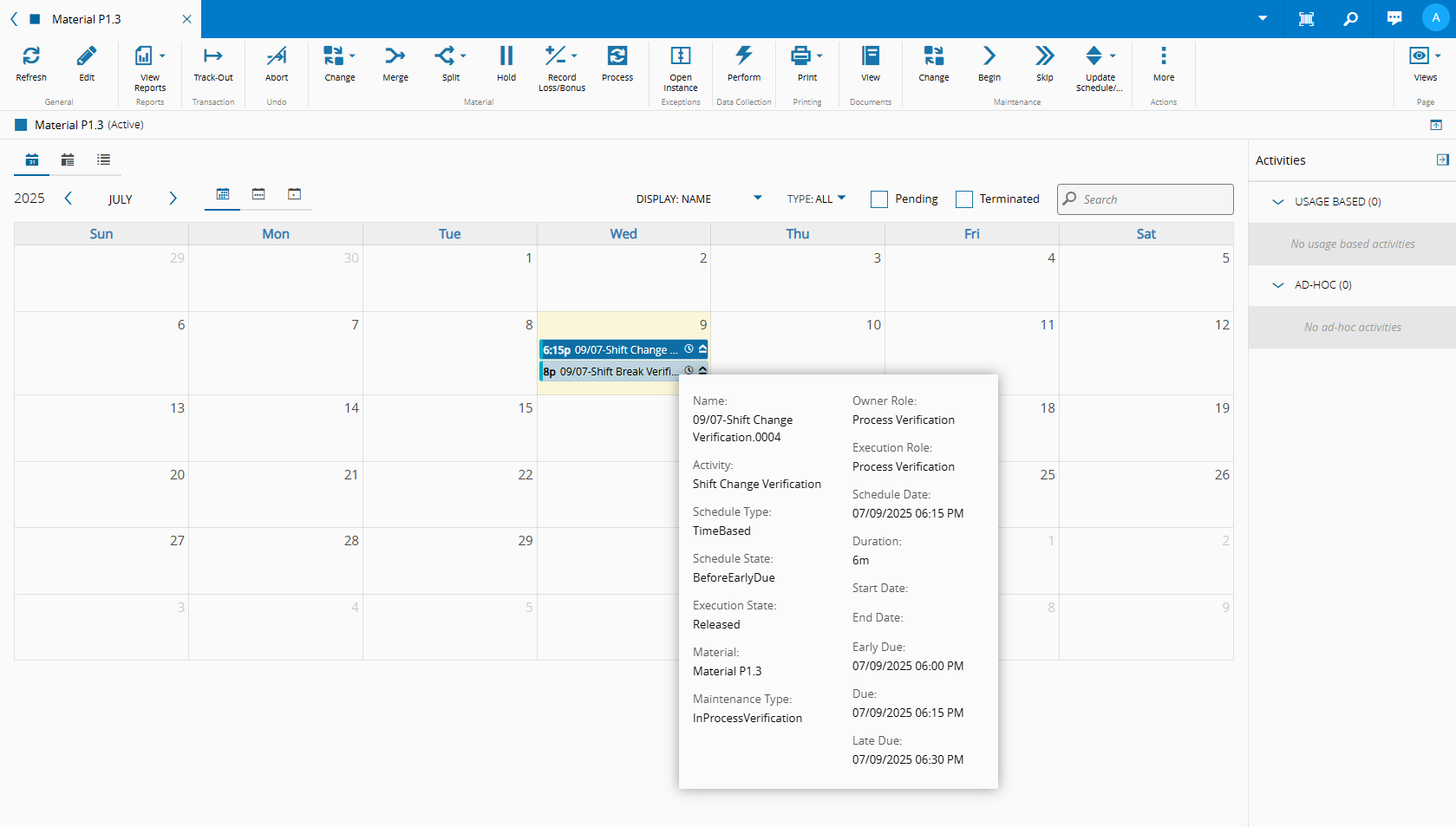 Line Verification Maintenance Plan